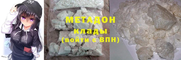прущие грибы Арсеньев