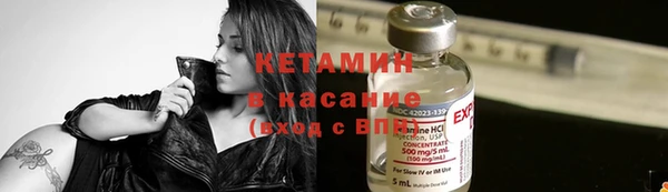 прущие грибы Арсеньев