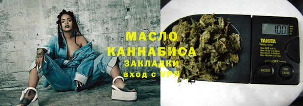 гидра Кодинск