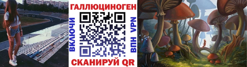 Галлюциногенные грибы мицелий  магазин продажи наркотиков  Верхний Тагил 
